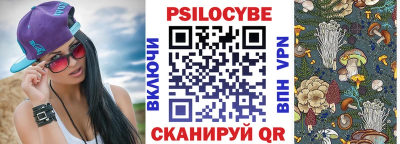 Галлюциногенные грибы Psilocybine cubensis Гуково