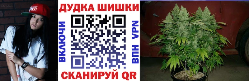 Канабис индика  где продают   Гуково 